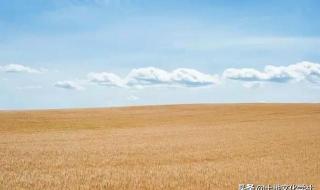 只要锄头挥得好下句什么 只要锄头舞得好