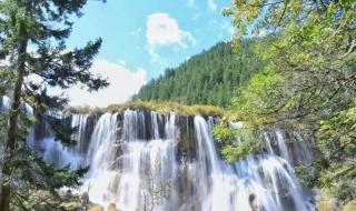 成都一对一导游费用多少 一对一全陪导游