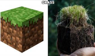 僵尸逃生课里面是真的僵尸吗 我的世界现实版僵尸