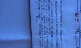 怀孕阴性和阳性的区别 阴性与阳性