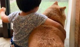 岁月就像美容刀一样的说说 岁月就像一把杀猪刀