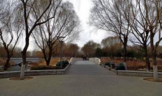 2021北京动物园开放时间及门票 大兴野生动物园门票