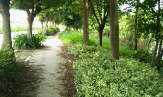 广州的森林公园有哪些 番禺滴水岩森林公园